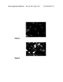 Smectic A Compositions For Use in Optical Devices diagram and image