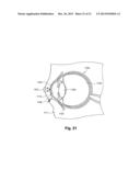 EYEBALL BIOLOGICAL INFORMATION COLLECTION DEVICE AND METHOD FOR COLLECTING     EYEBALL BIOLOGICAL INFORMATION diagram and image