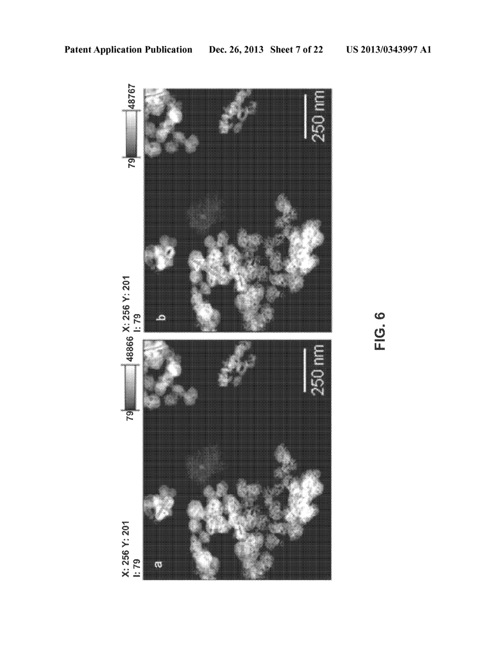 Metal Coating of Rare Earth Nano-Phosphors and Uses Thereof - diagram, schematic, and image 08