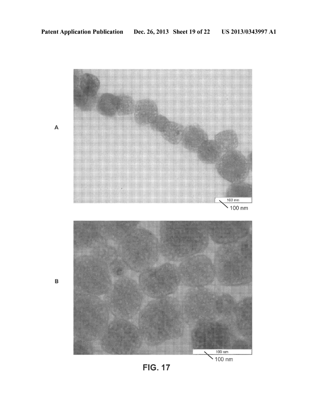 Metal Coating of Rare Earth Nano-Phosphors and Uses Thereof - diagram, schematic, and image 20