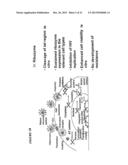 PROCESS FOR THE PREPARATION OF A COMPOSITION OF GENETICALLY MODIFIED     HEMATOPOIETIC PROGENITOR CELLS diagram and image