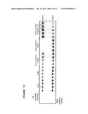 PROCESS FOR THE PREPARATION OF A COMPOSITION OF GENETICALLY MODIFIED     HEMATOPOIETIC PROGENITOR CELLS diagram and image