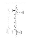 PROCESS FOR THE PREPARATION OF A COMPOSITION OF GENETICALLY MODIFIED     HEMATOPOIETIC PROGENITOR CELLS diagram and image