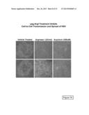 METHODS FOR TREATMENT OF OCULAR DISEASES diagram and image