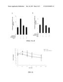 Methods of Modifying Insulin Signaling Using Biliverdin Reductase (BVR)     and BVR Derived Peptides diagram and image