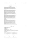 VARIANT, RECOMBINANT BETA-GLUCOCEREBROSIDASE PROTEINS WITH INCREASED     STABILITY AND INCREASED RETAINED CATALYTIC ACTIVITY diagram and image