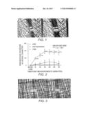 KERATIN BIOMATERIALS FOR TREATMENT OF ISCHEMIA diagram and image