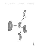 Identification and Treatment of Aggressive Lung Cancer Tumors diagram and image