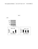 MODULATION OF HISTONE H2B MONOUBIQUITINATION AND TREATMENT OF CANCER diagram and image