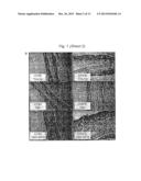 Methods and Compositions for Improving Immune Response by a Nutraceutical     Antioxidant diagram and image