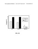 Immortal Unipotent Porcine PICM-19H and PICM-19B Stem Cell Lines diagram and image