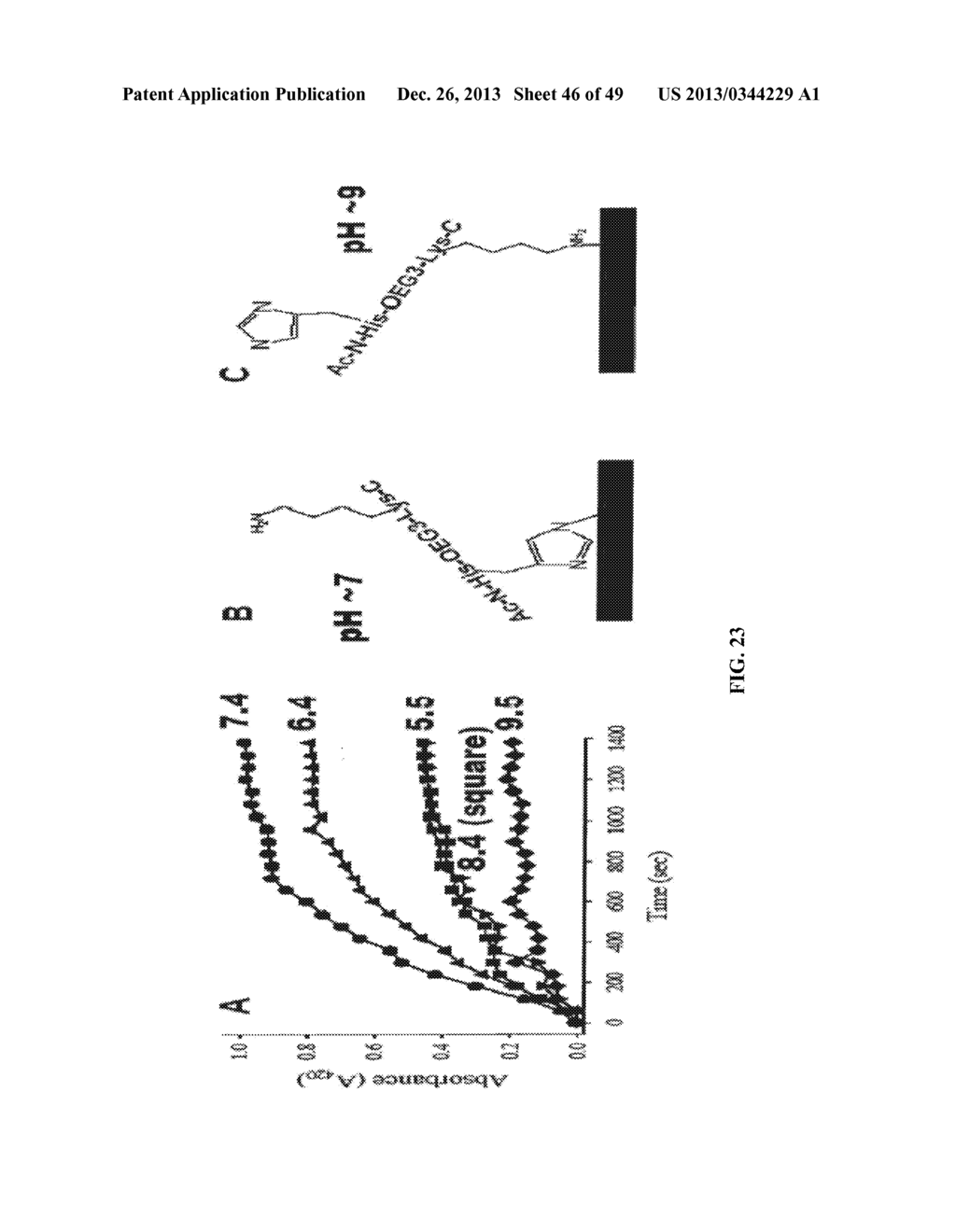 SURFACE-INDEPENDENT, SURFACE-MODIFYING, MULTIFUNCTIONAL COATINGS AND     APPLICATIONS THEREOF - diagram, schematic, and image 47