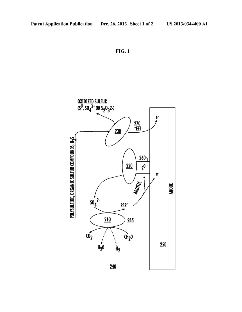 BIOCHEMICAL SYSTEMS FOR SULFUR AND CARBON SEQUESTRATION - diagram, schematic, and image 02