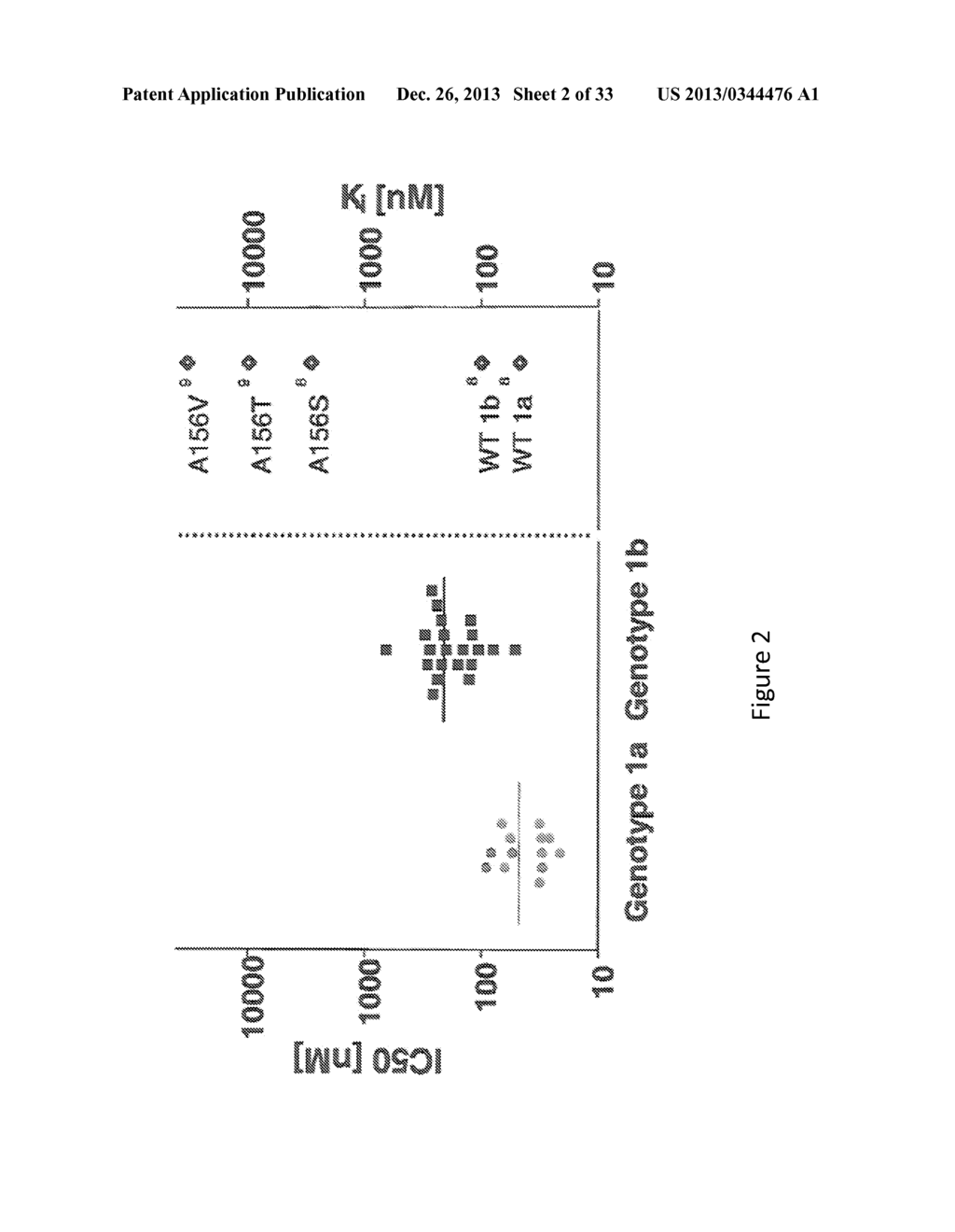 HEPATITIS C VIRUS VARIANTS - diagram, schematic, and image 03