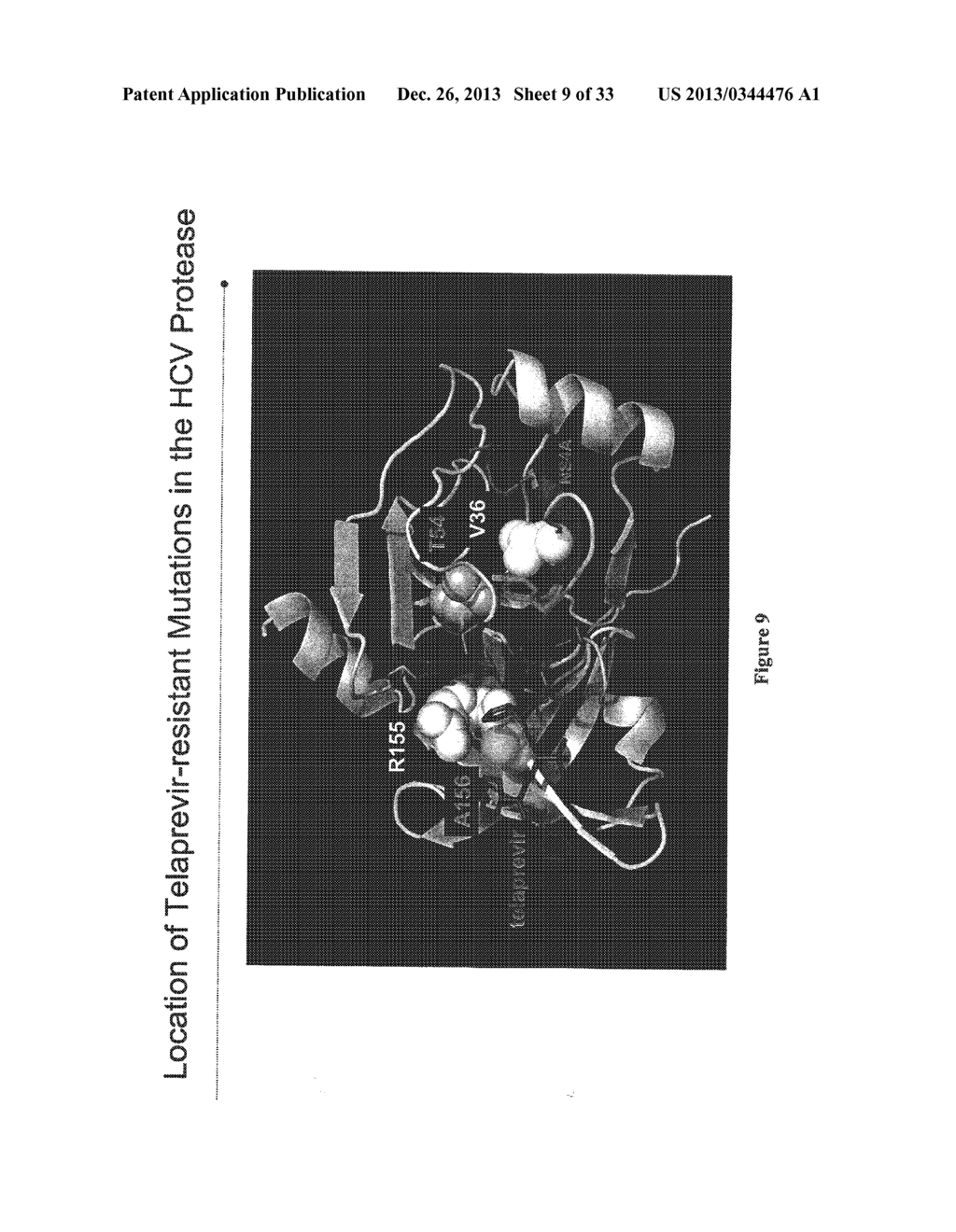 HEPATITIS C VIRUS VARIANTS - diagram, schematic, and image 10