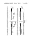 NUCLEIC ACID TARGET DETECTION USING A DETECTOR, A PROBE AND AN INHIBITOR diagram and image