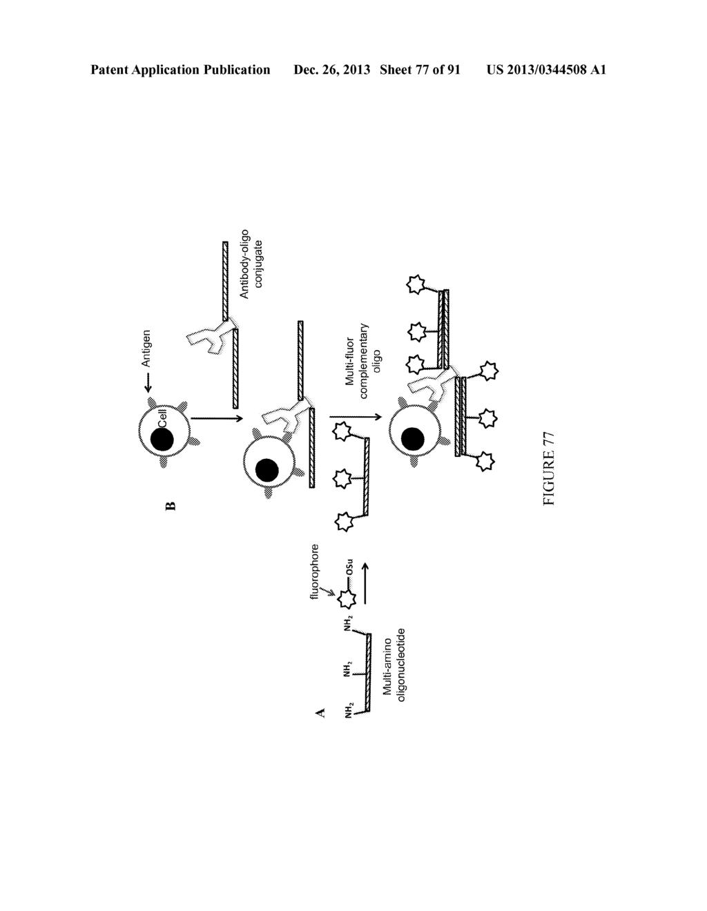 Methods and/or Use of Oligonucleotide Conjugates for Suppressing     Background Due to Cross-Hybridization - diagram, schematic, and image 78