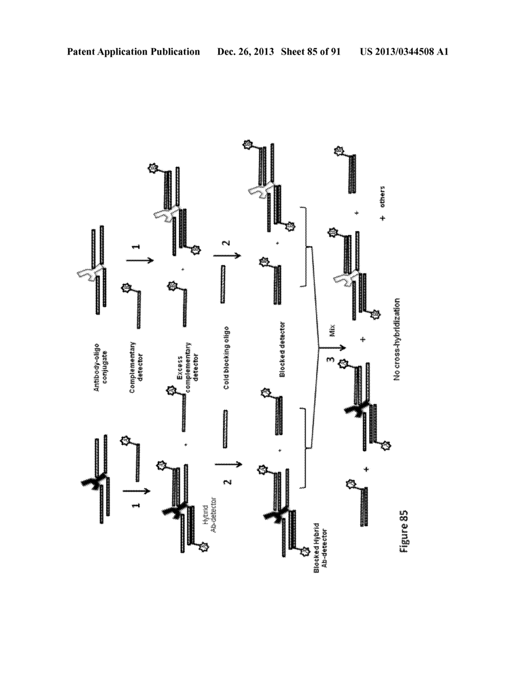 Methods and/or Use of Oligonucleotide Conjugates for Suppressing     Background Due to Cross-Hybridization - diagram, schematic, and image 86