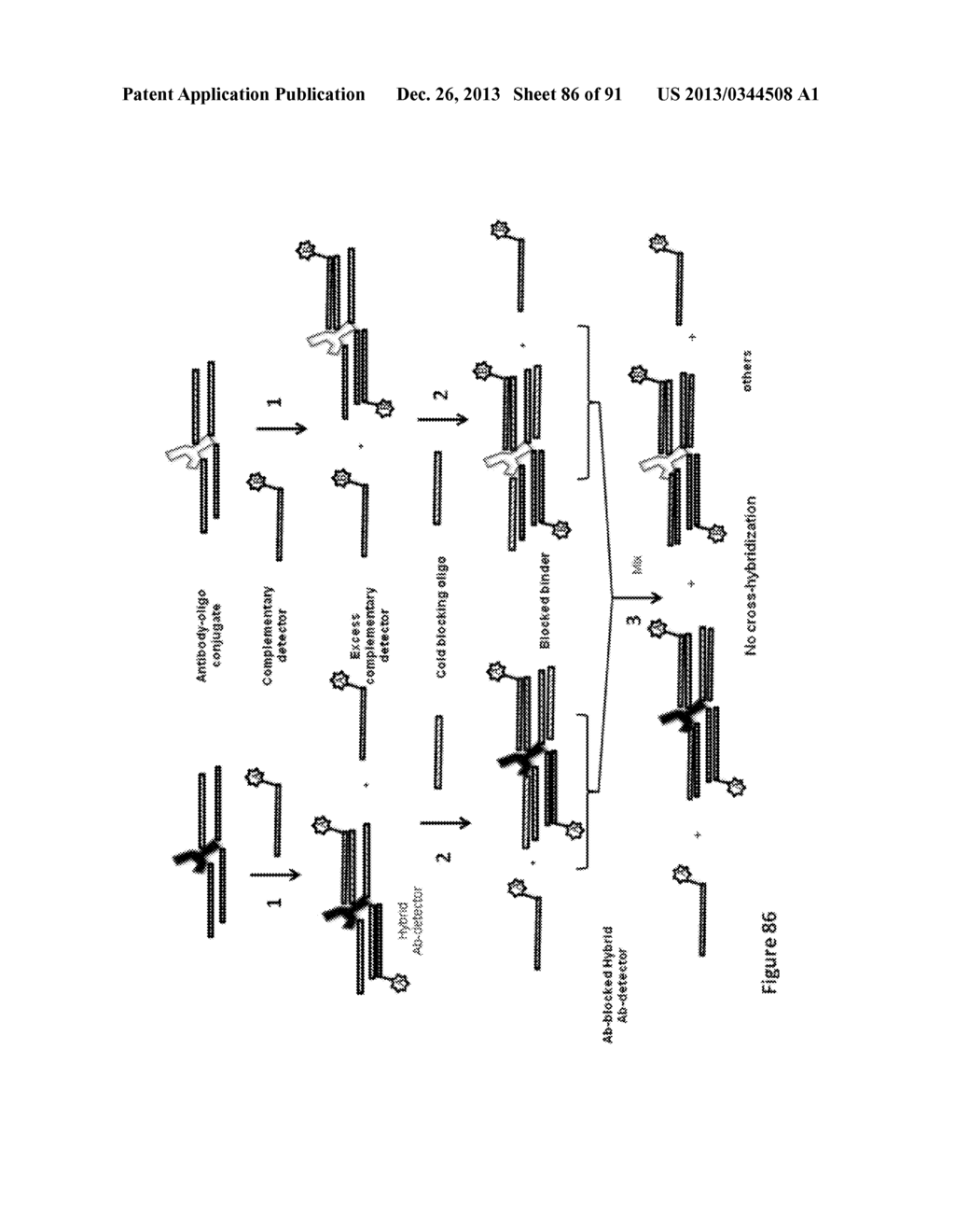 Methods and/or Use of Oligonucleotide Conjugates for Suppressing     Background Due to Cross-Hybridization - diagram, schematic, and image 87