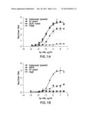 CD16A REPORTER ASSAY FOR EVALUATION OF ADCC POTENTIAL OF BIOLOGICS diagram and image