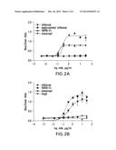CD16A REPORTER ASSAY FOR EVALUATION OF ADCC POTENTIAL OF BIOLOGICS diagram and image