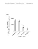 Quantitation of GCP Activity in Biological Samples diagram and image