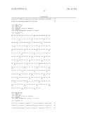 KETOREDUCTASE POLYPEPTIDES FOR THE REDUCTION OF ACETOPHENONES diagram and image