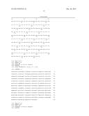 KETOREDUCTASE POLYPEPTIDES FOR THE REDUCTION OF ACETOPHENONES diagram and image