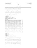 KETOREDUCTASE POLYPEPTIDES FOR THE REDUCTION OF ACETOPHENONES diagram and image