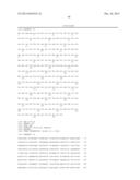 KETOREDUCTASE POLYPEPTIDES FOR THE REDUCTION OF ACETOPHENONES diagram and image