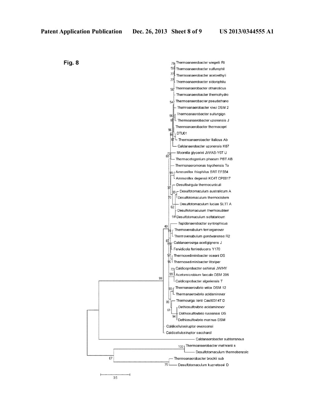 DSMZ 24726 FOR SECOND GENERATION BIO-ETHANOL PRODUCTION - diagram, schematic, and image 09