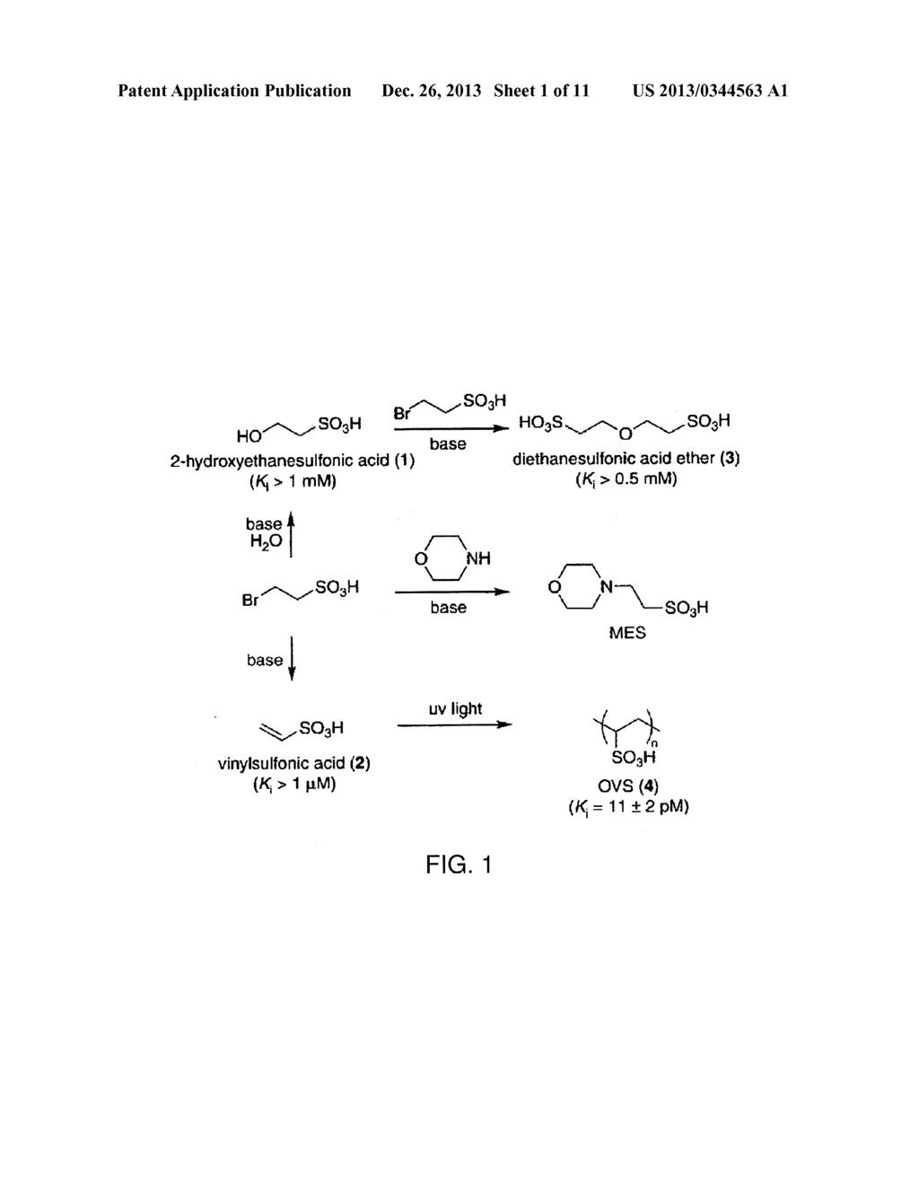 NUCLEASE INHIBITORS AND METHODS FOR THEIR USE - diagram, schematic, and image 02