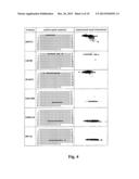 METHOD FOR THE PRODUCTION OF HYBRIDOMA CELL LINES PRODUCING MONOCLONAL     ANTIBODIES CAPABLE TO SPECIFICALLY BINDING TO A HUMAN C44-FRAGMENT OF     AGRIN diagram and image