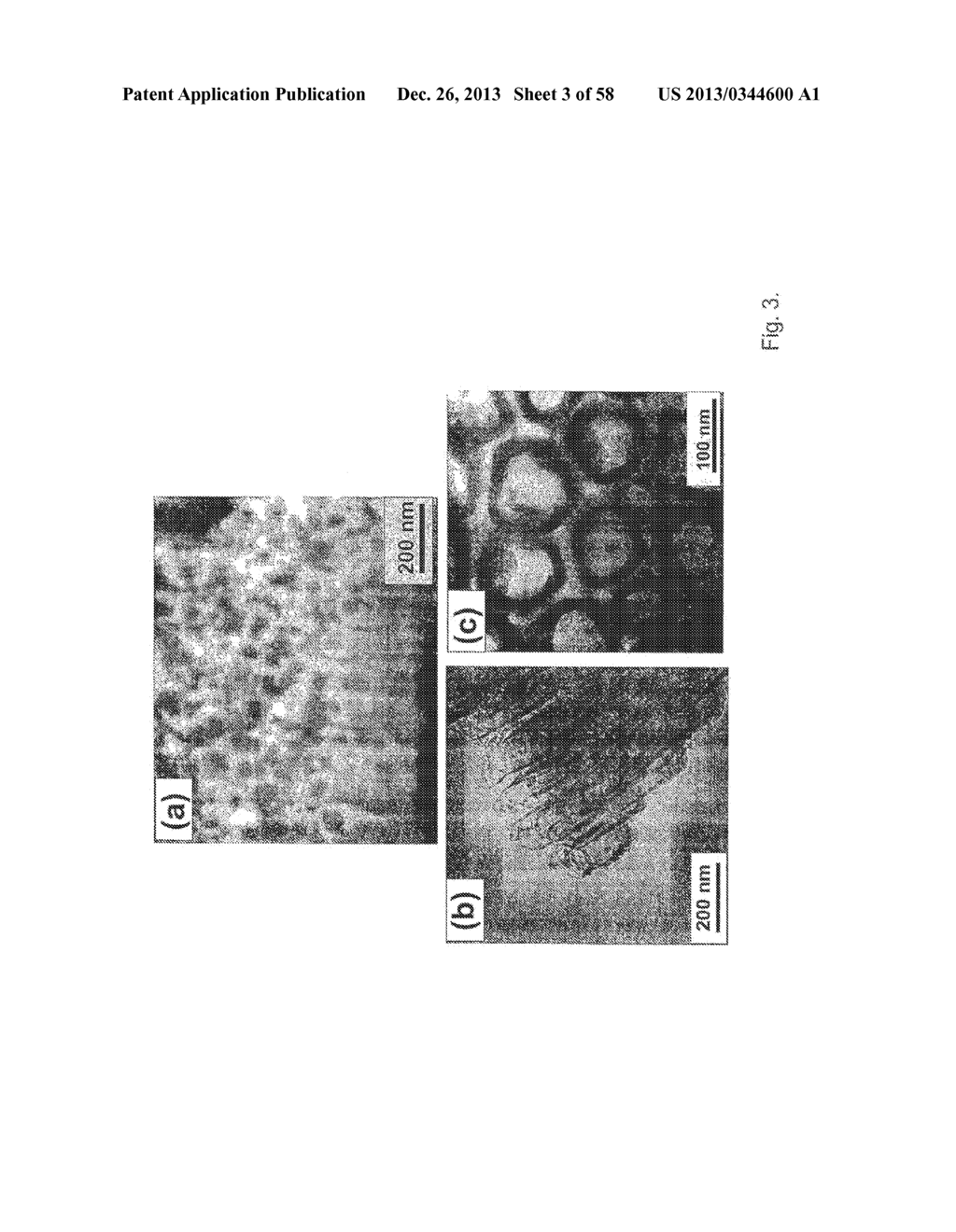 COMPOSITIONS COMPRISING NANOSTRUCTURES FOR CELL, TISSUE AND ARTIFICIAL     ORGAN GROWTH, AND METHODS FOR MAKING AND USING SAME - diagram, schematic, and image 04