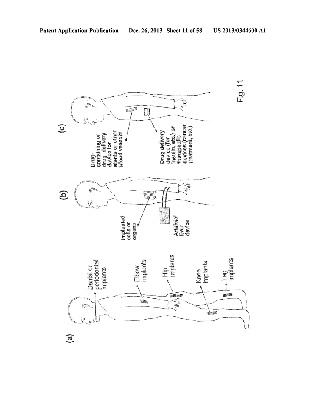 COMPOSITIONS COMPRISING NANOSTRUCTURES FOR CELL, TISSUE AND ARTIFICIAL     ORGAN GROWTH, AND METHODS FOR MAKING AND USING SAME - diagram, schematic, and image 12