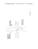 COMPOSITIONS COMPRISING NANOSTRUCTURES FOR CELL, TISSUE AND ARTIFICIAL     ORGAN GROWTH, AND METHODS FOR MAKING AND USING SAME diagram and image