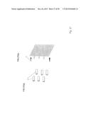 COMPOSITIONS COMPRISING NANOSTRUCTURES FOR CELL, TISSUE AND ARTIFICIAL     ORGAN GROWTH, AND METHODS FOR MAKING AND USING SAME diagram and image