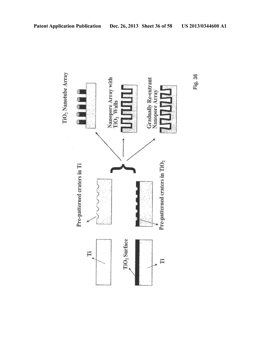 COMPOSITIONS COMPRISING NANOSTRUCTURES FOR CELL, TISSUE AND ARTIFICIAL     ORGAN GROWTH, AND METHODS FOR MAKING AND USING SAME - diagram, schematic, and image 37