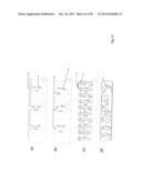 COMPOSITIONS COMPRISING NANOSTRUCTURES FOR CELL, TISSUE AND ARTIFICIAL     ORGAN GROWTH, AND METHODS FOR MAKING AND USING SAME diagram and image