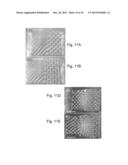 MICRO-STRUCTURED BIOMATERIALS AND FABRICATION METHODS THEREFOR diagram and image