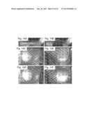 MICRO-STRUCTURED BIOMATERIALS AND FABRICATION METHODS THEREFOR diagram and image