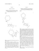 PI-CONJUGATED FLUOROIONOPHORES AND METHOD FOR DETERMINING AN ALKALI ION diagram and image