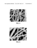 Biodegradable Aliphatic Polyester for Use in Nonwoven Webs diagram and image