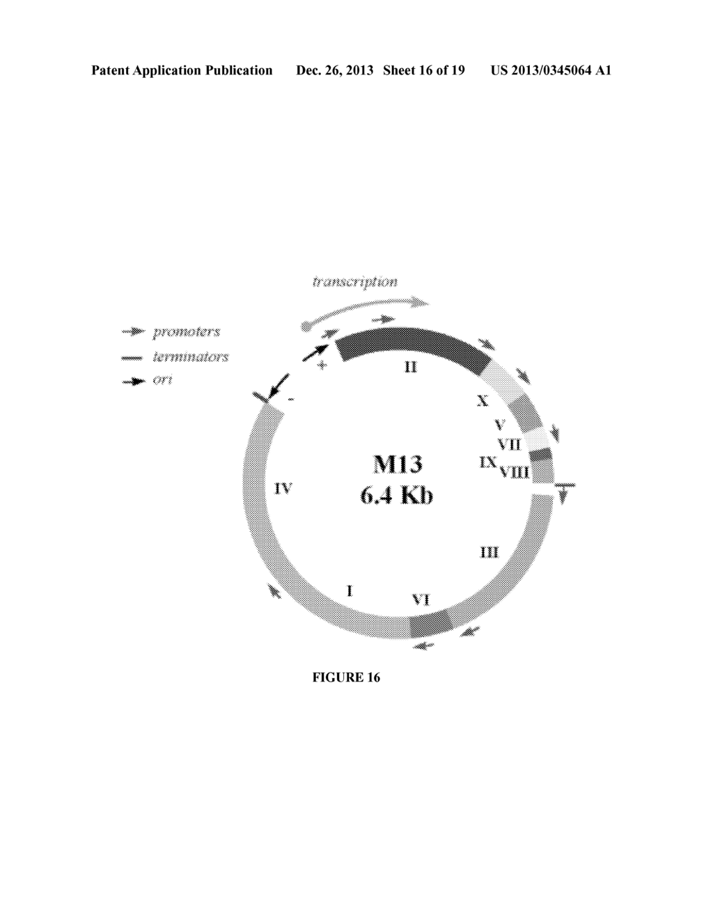 CONTINUOUS DIRECTED EVOLUTION - diagram, schematic, and image 17