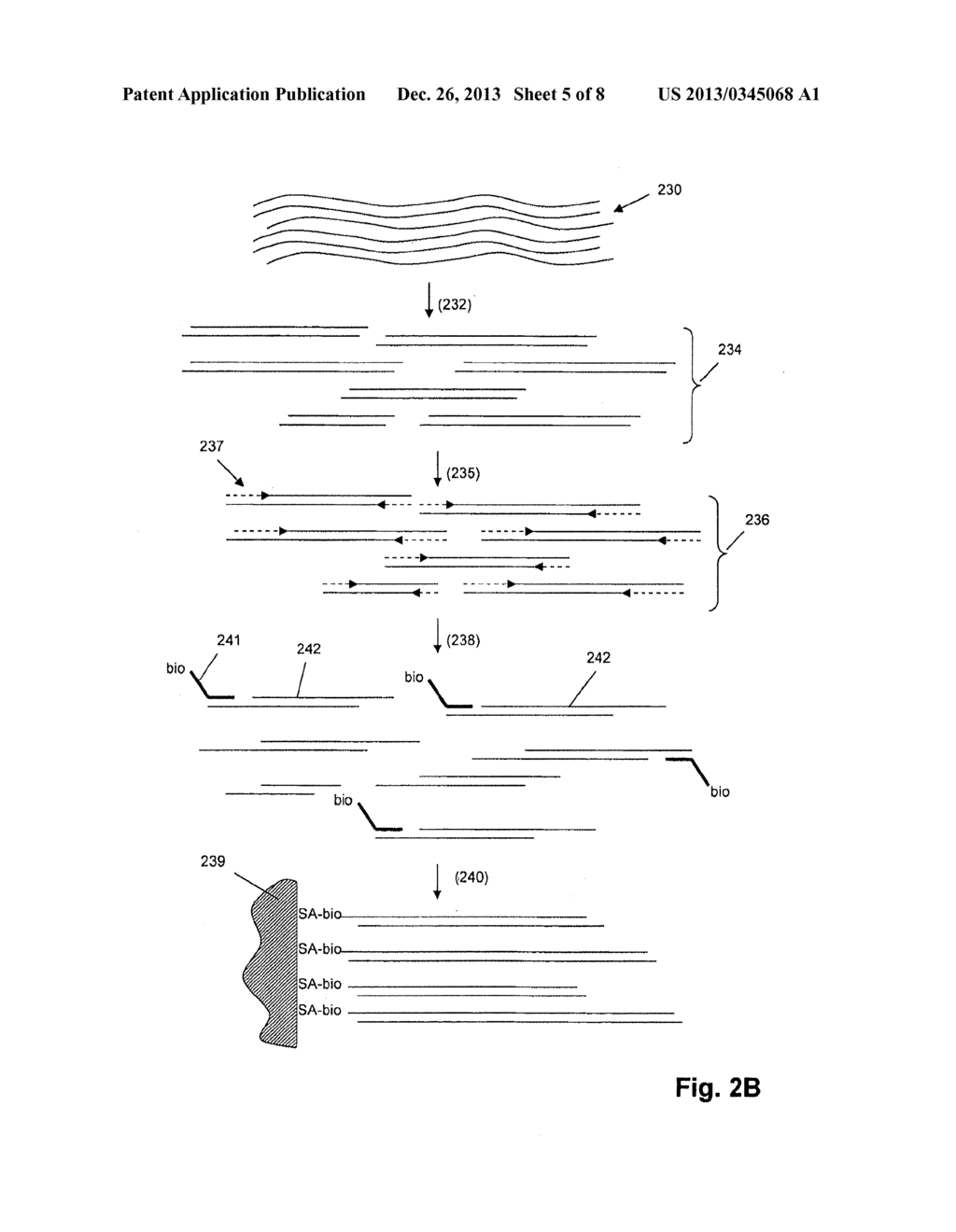 Nucleic Acid Analysis by Random Mixtures of Non-Overlapping Fragments - diagram, schematic, and image 06