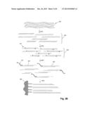 Nucleic Acid Analysis by Random Mixtures of Non-Overlapping Fragments diagram and image