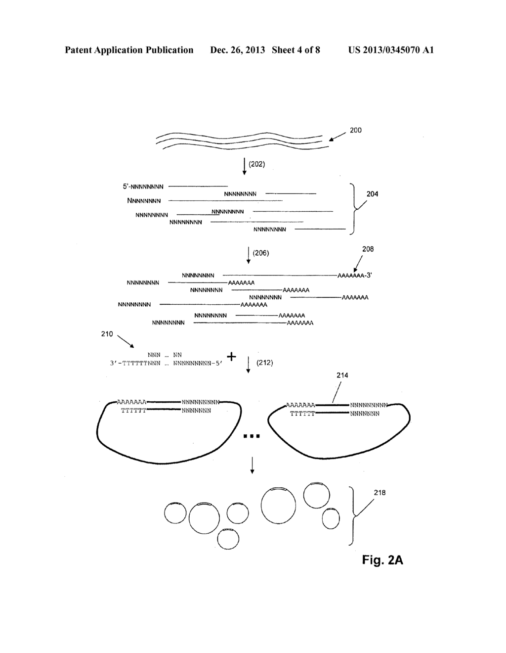 Nucleic Acid Analysis by Random Mixtures of Non-Overlapping Fragments - diagram, schematic, and image 05