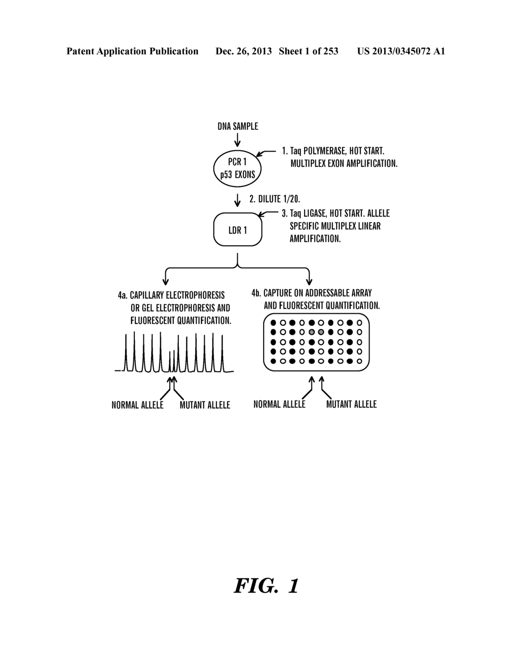 METHOD OF DESIGNING ADDRESSABLE ARRAY SUITABLE FOR DETECTION OF NUCLEIC     ACID SEQUENCE DIFFERENCES USING LIGASE DETECTION REACTION - diagram, schematic, and image 02