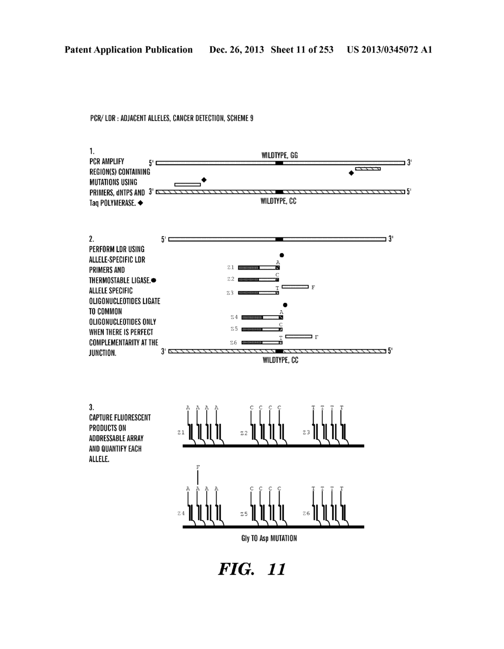 METHOD OF DESIGNING ADDRESSABLE ARRAY SUITABLE FOR DETECTION OF NUCLEIC     ACID SEQUENCE DIFFERENCES USING LIGASE DETECTION REACTION - diagram, schematic, and image 12