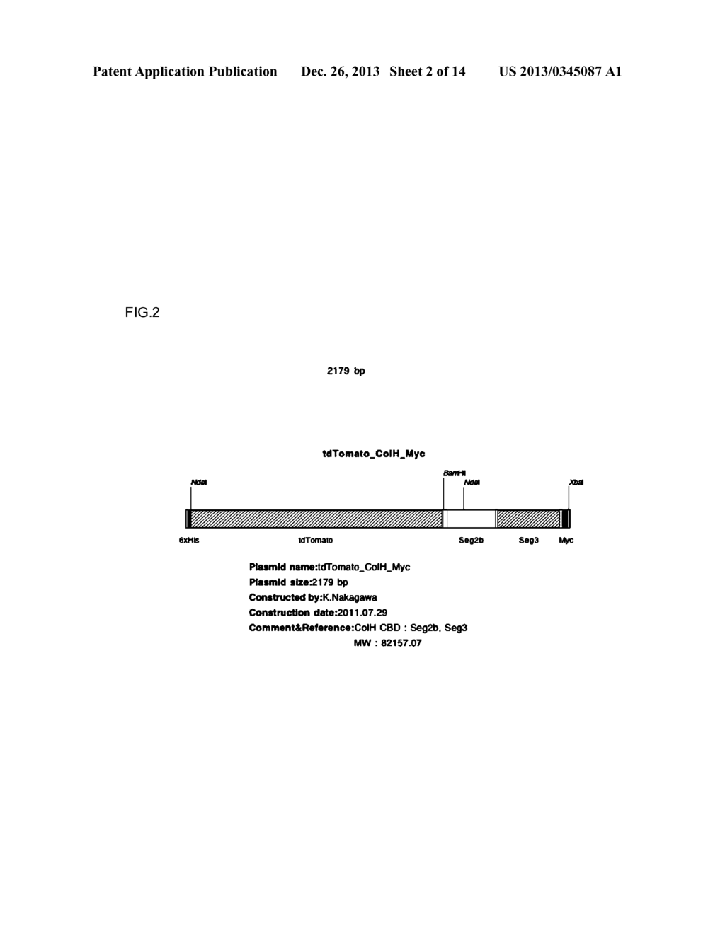 PROBE FOR ANALYZING BIOLOGICAL TISSUE AND METHOD FOR UTILIZING SAME - diagram, schematic, and image 03